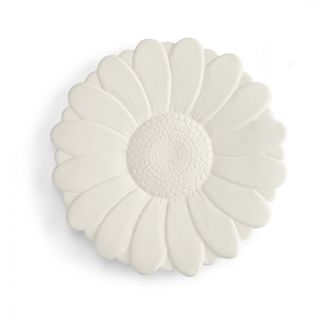 Rohling Blume
