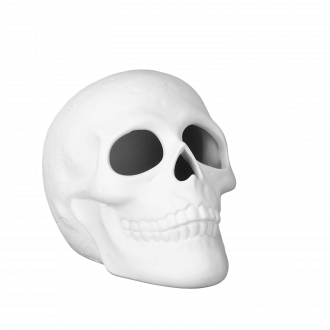 Rohling Skull